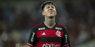 Erick Pulgar no Flamengo em 2024