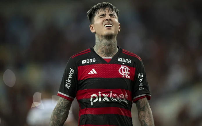 Erick Pulgar no Flamengo em 2024