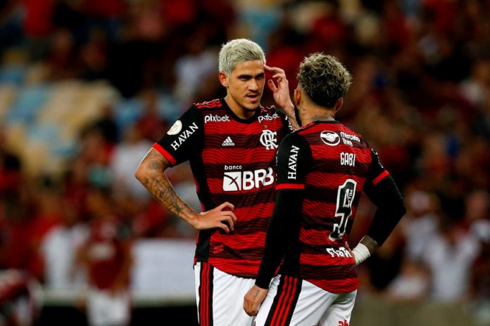 Pedro e Gabigol em campo pelo Flamengo