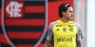 Pedro atacante do Flamengo em 2024