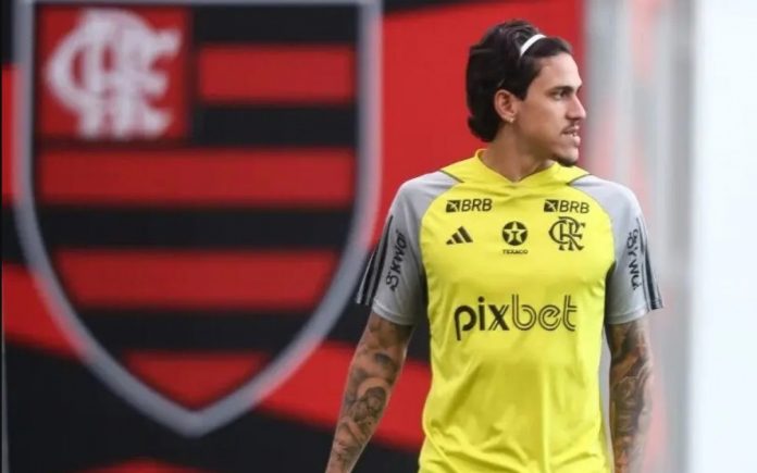 Pedro atacante do Flamengo em 2024