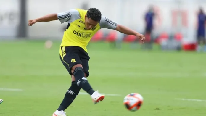 Daniel Sales marcou o gol da vitória do Flamengo