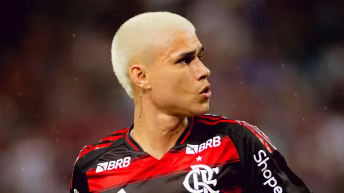 Luiz Araújo em campo pelo Flamengo