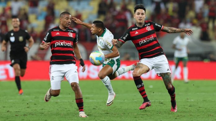De la Cruz e Pulgar em campo pelo Flamengo contra o Palmeiras em 2024