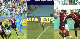 Polêmicas contra o Flamengo no clássico contra o Palmeiras