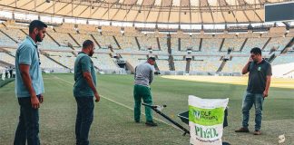 Gramado do Maracanã recebe tratamento de inverno