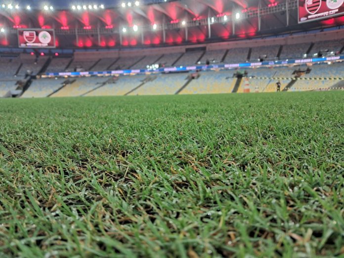 Gramado do Maracanã