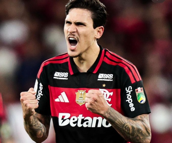 Pedro comemora gol contra o Coritiba no Maracanã. Foto: Flamengo