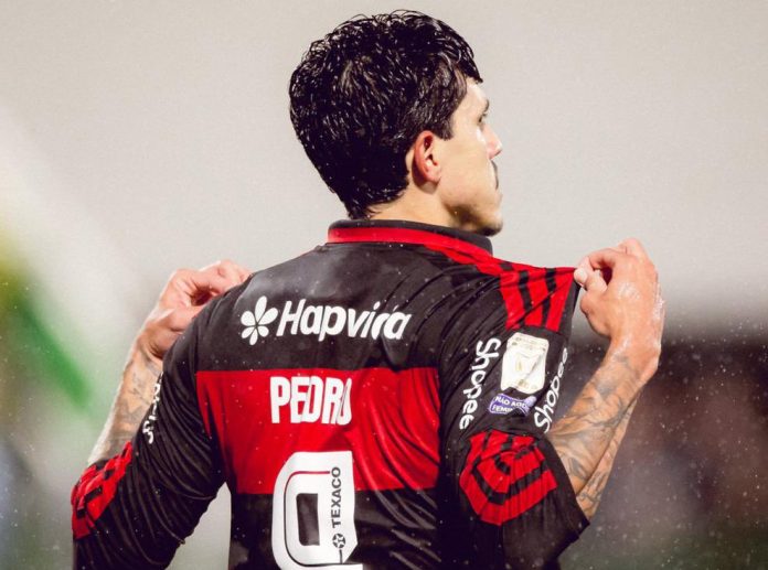 Pedro marca e comemora um dos seus 2 gols na goleada do Flamengo sobre a Chapecoense