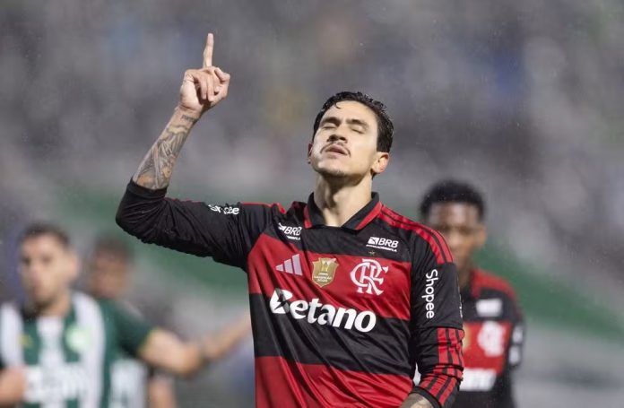 Pedro comemora gol contra a Chapecoense, pelo Brasileirão