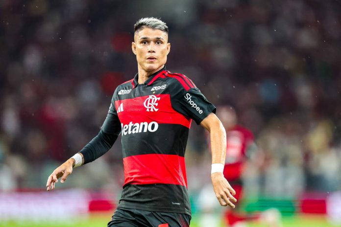 Luiz Araújo, atacante do Flamengo