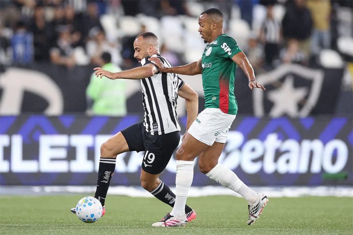 Botafogo e Palmeiras ficaram no empate sem gol no Engenhão