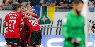Jogadores comemoram o gol da vitória do Flamengo sobre o Remo no Mangueirão - Foto: Gilvan de Souza / Flamngo