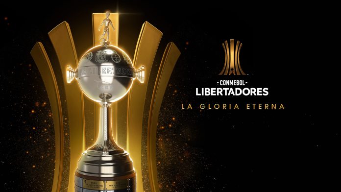 Flamengo classificado para Copa Libertadores da América 2025