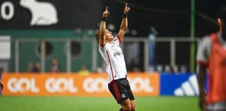 David Luiz marca e comemora o gol da vitória do Flamengo sobre o Cruzeiro