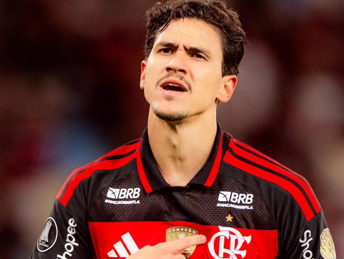 Pedro marcou o gol da vitória do Flamengo sobre o Estudiantes no Maracanã - Foto: Adriano Fontes / Flamengo