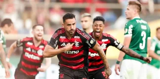 O zagueiro Danilo comemora o gol da vitória do Flamengo sobre o Palmeiras na final da Libertadores. Foto: Gilvan de Souza / Flamengo